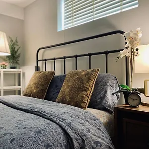 Villa Newly Renovated Elephant Close To Banff And Business Center, Calgary
